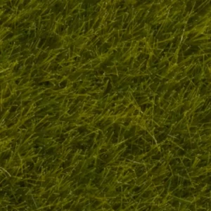 Iarbă Sălbatică „Pajiște”