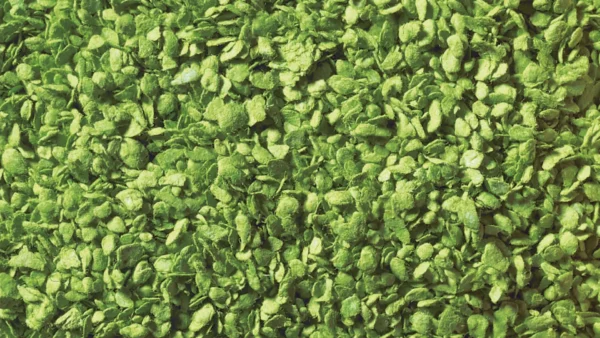 rs_479_RS479_07142_Muster